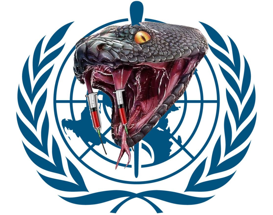 OMS (ORGANIZACIÓN DE MATASANOS)